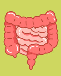 Improved Digestion