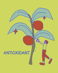 Antioxidant Power