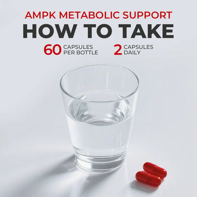 AMPK Metabolic Support – Fat Metabolism & Energy Formula - PHORMACORE