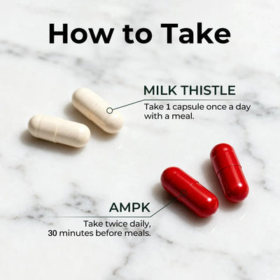 Liver Support & Fat Metabolism Bundle – Milk Thistle + AMPK Duo - PHORMACORE