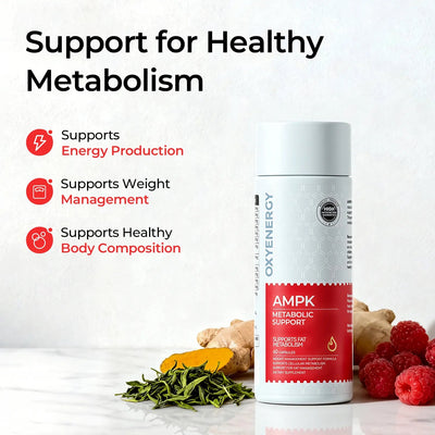 Liver Support & Fat Metabolism Bundle – Milk Thistle + AMPK Duo - PHORMACORE