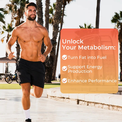 L-Carnitine – Metabolism & Energy Support with B Vitamins - PHORMACORE