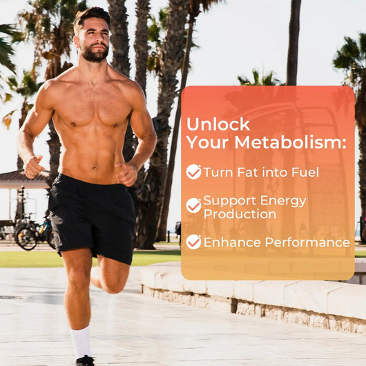 L-Carnitine – Metabolism & Energy Support with B Vitamins - PHORMACORE
