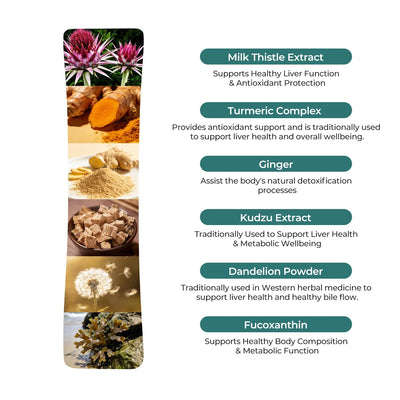 Liverchill – Supports Healthy Fat Metabolism - PHORMACORE