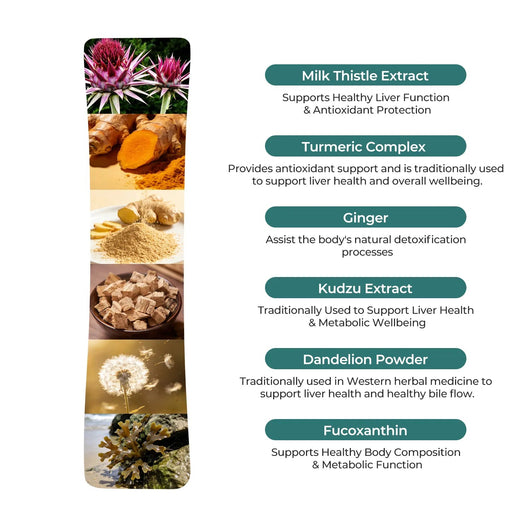 Liverchill – Supports Healthy Fat Metabolism - PHORMACORE