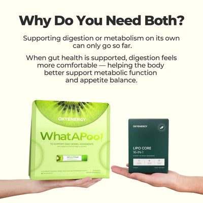 Metabolism & Gut Support Bundle - PHORMACORE