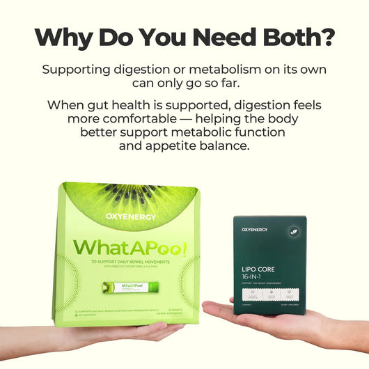 Metabolism & Gut Support Bundle - PHORMACORE