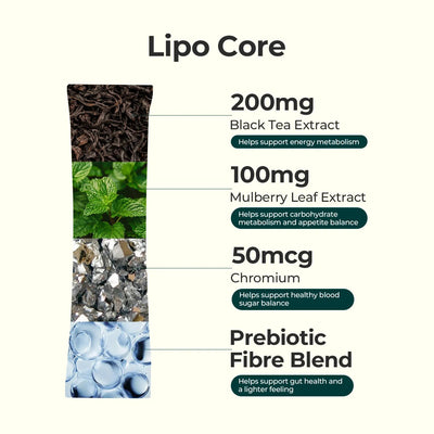 Metabolism & Gut Support Bundle - PHORMACORE