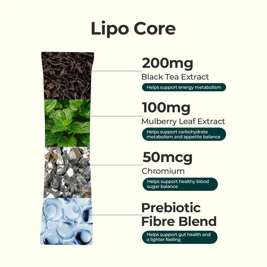 Metabolism & Gut Support Bundle - PHORMACORE